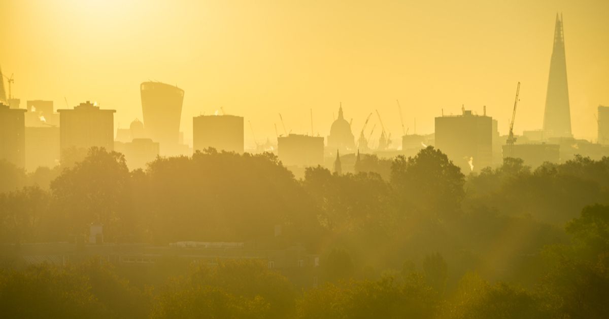 Investment trusts: income and diversification attractions grow as...