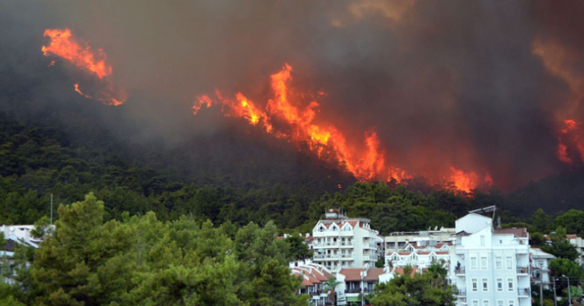 Outdated economic models ‘dangerously underplay’ climate risk,...