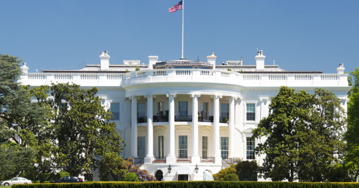 Nasdaq, Dow Jones recover as new Trump tariffs begin, IMB and Salesforce rebound