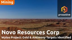 Novo Resources outlines 2026 exploration plans ith focus on Wyloo project