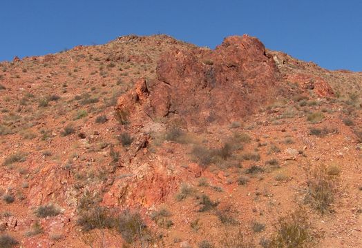 Arizona Gold & Silver Inc - Arizona Gold & Silver VP exploration provides update on Philadelphia, Silverton projects - ICYMI