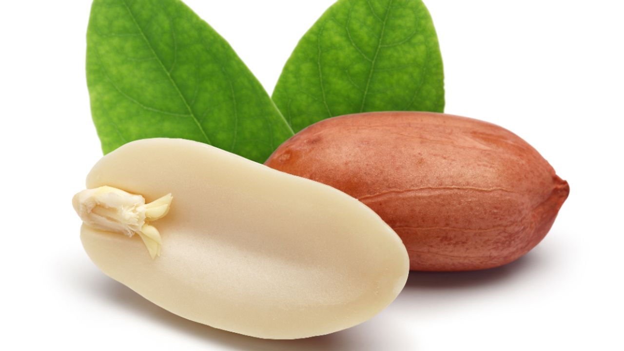 Allergy Therapeutics peanut vaccine shows strong immune response in ...