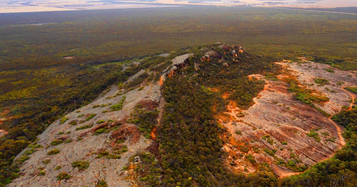Mount Ridley defines major heavy rare earth resource at WA project ...