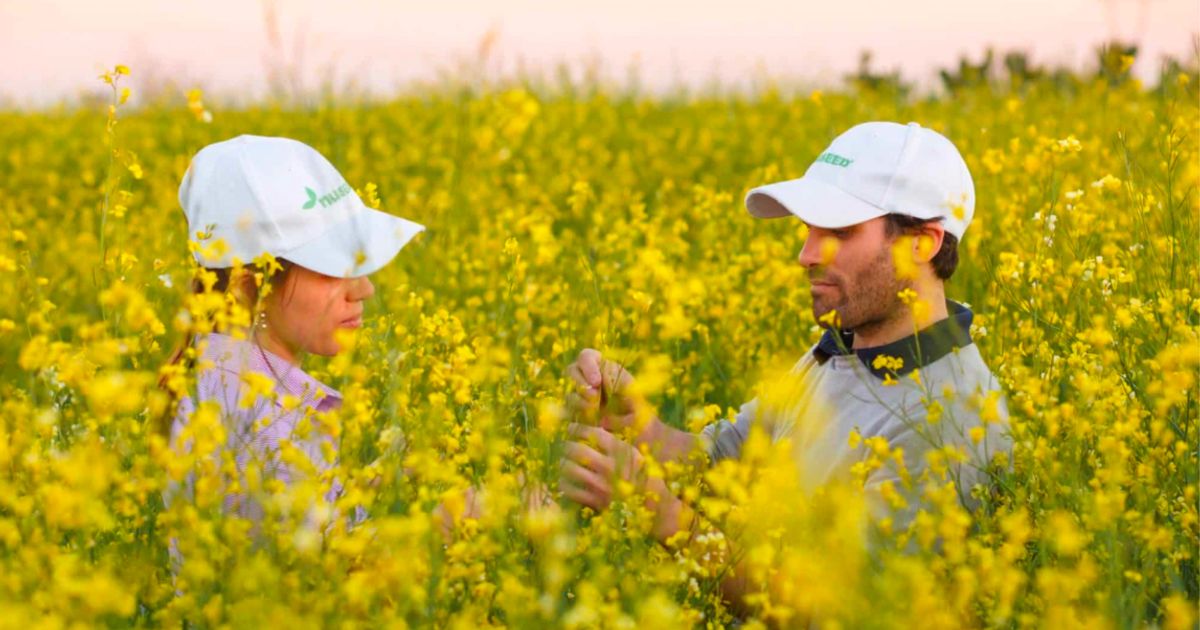 Nufarm extends bp partnership to 2050 to scale Carinata biofuel...