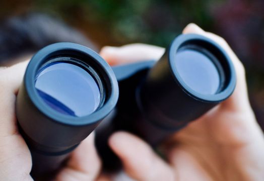Cobalt Blue Holdings Ltd - ASX Small Ordinaries slips despite weekly gains as companies progress financing, resources and project milestones