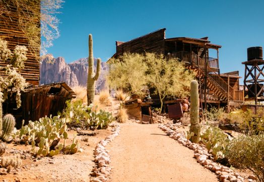 Arizona Gold & Silver Inc - 