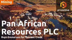 Pan African Resources CEO Cobus Loots says Emmerson acquisition will accelerate Tennant development 