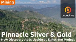 Pinnacle Silver and Gold discovers new polymetallic zone at El Potrero
