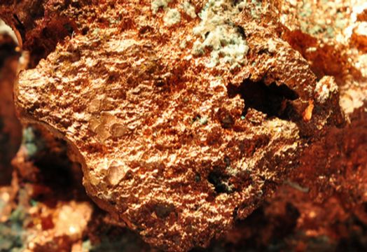 Noble Capital Markets - Power Metallic Mines seen as undervalued as Lion Zone drilling delivers record copper grades