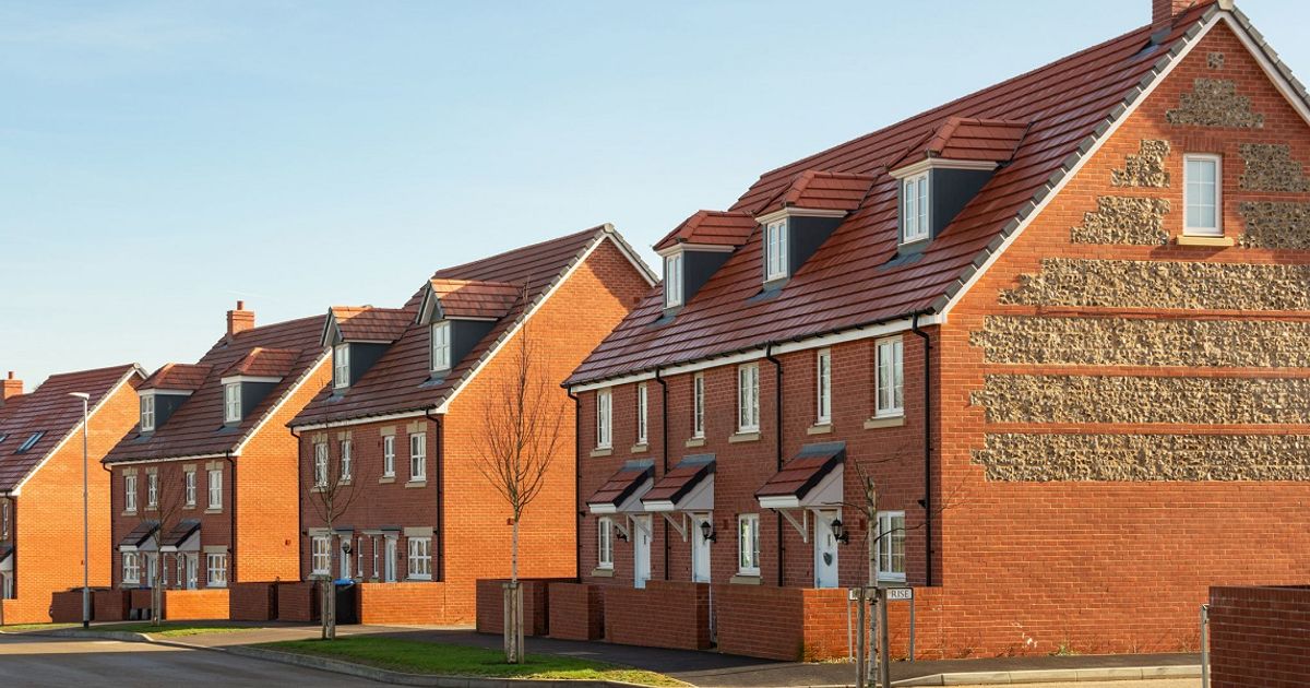 Persimmon and MJ Gleeson stand to gain from new government housing scheme, says Panmure Liberum