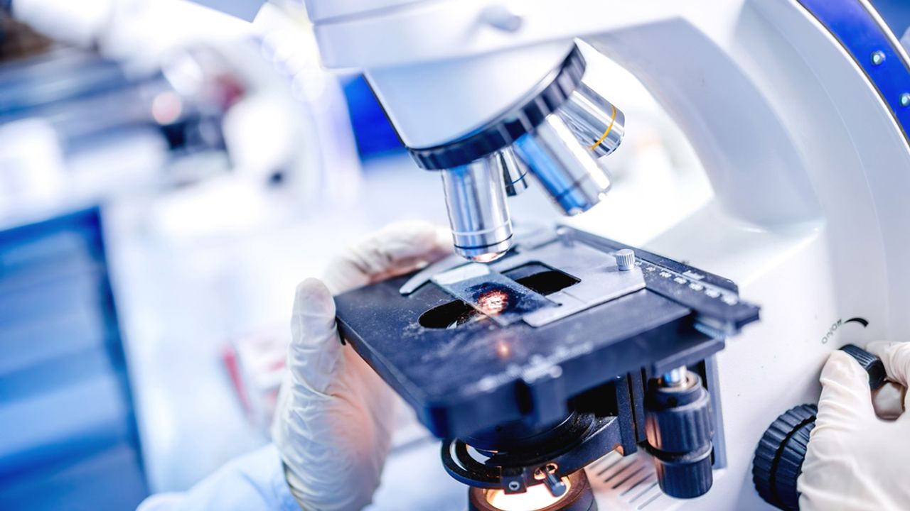 PureTech Health gets Panmure Liberum ‘buy’ on value and cash returns ...