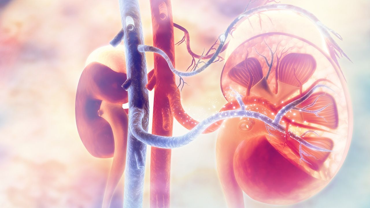 CSL strikes US$1.6 billion licensing deal for rare disease drug | ASX:CSL