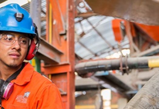 Great Panther Mining Limited - 