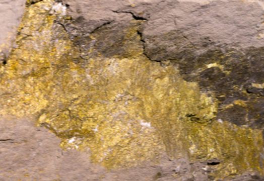 Granada Gold Mine - Granada Gold Mine Inc - Proactive One2One Virtual Event