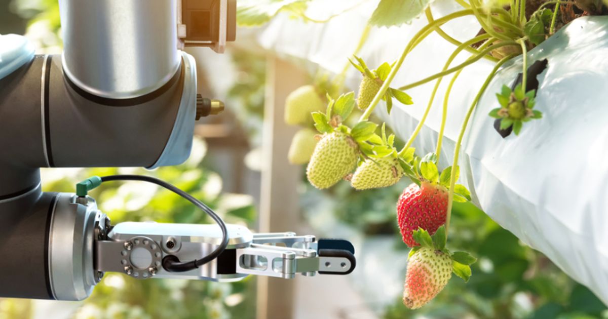 Frontier IP rises as portfolio firm Fieldwork Robotics inks deal with ...