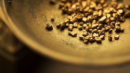 gold pieces