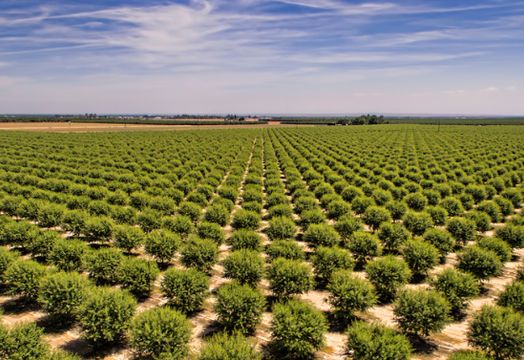 Verde Potash PLC - Verde AgriTech Plc 