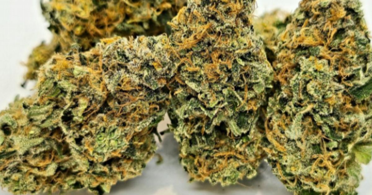 Creso Pharma's second NSLC retail purchase order highlights strong ...