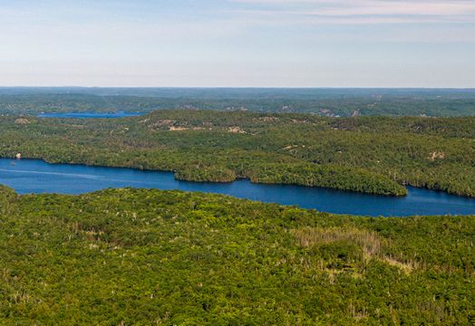 Magna Mining - Magna Mining reports a new nickel-copper-PMG discovery at its Shakespeare project in Ontario