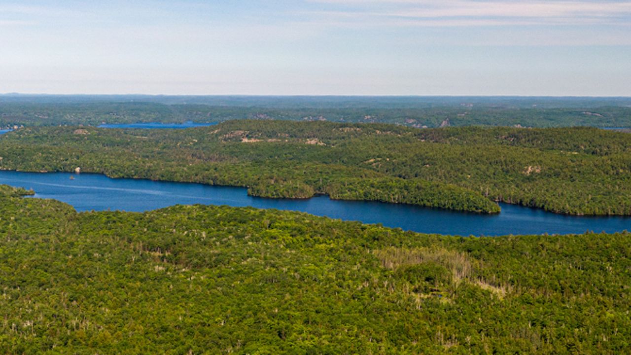 Magna Mining - Magna Mining reports a new nickel-copper-PMG discovery at its Shakespeare project in Ontario