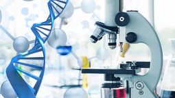 Imugene Limited - Imugene granted patent protecting gastric cancer immunotherapy in Japan
