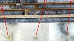 Tempus Resources Ltd - Tempus Resources hits more visible gold highlighting new vein discovery at Canadian Gold Project