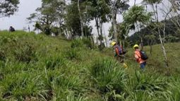 Sunstone Metals Ltd - Sunstone Metals well-funded to drive exploration after strong results at its Ecuadorian gold-copper assets.