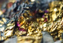 Condor Gold Plc On Track To Production At La India Gold Deposit