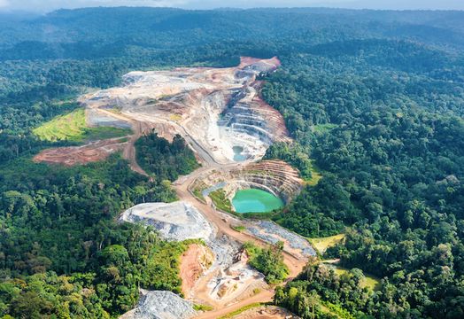Great Panther Mining Limited - 