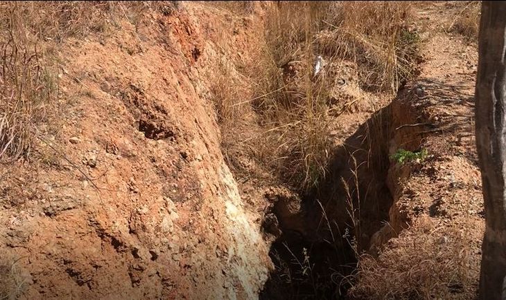 13+ Condor gold share price