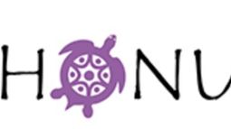 INDVR Brands Inc. - 