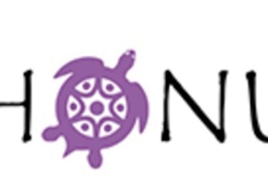 INDVR Brands Inc. - 