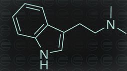 Entheon Biomedical Corp - Entheon Biomedical: Data and DMT among the keys to creating safe and effective treatments for patients battling addiction