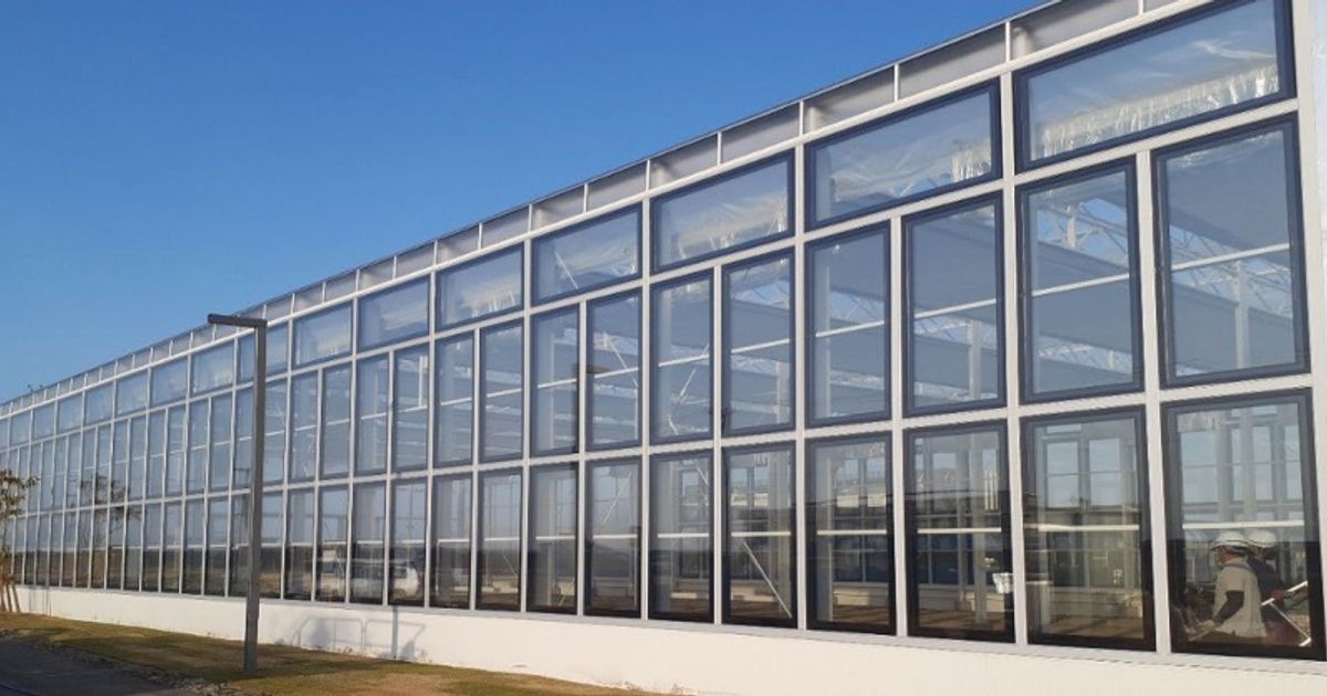 ClearVue Technologies Ltd provides sunny update on solar greenhouses in Perth and Japan - Vimarsana News