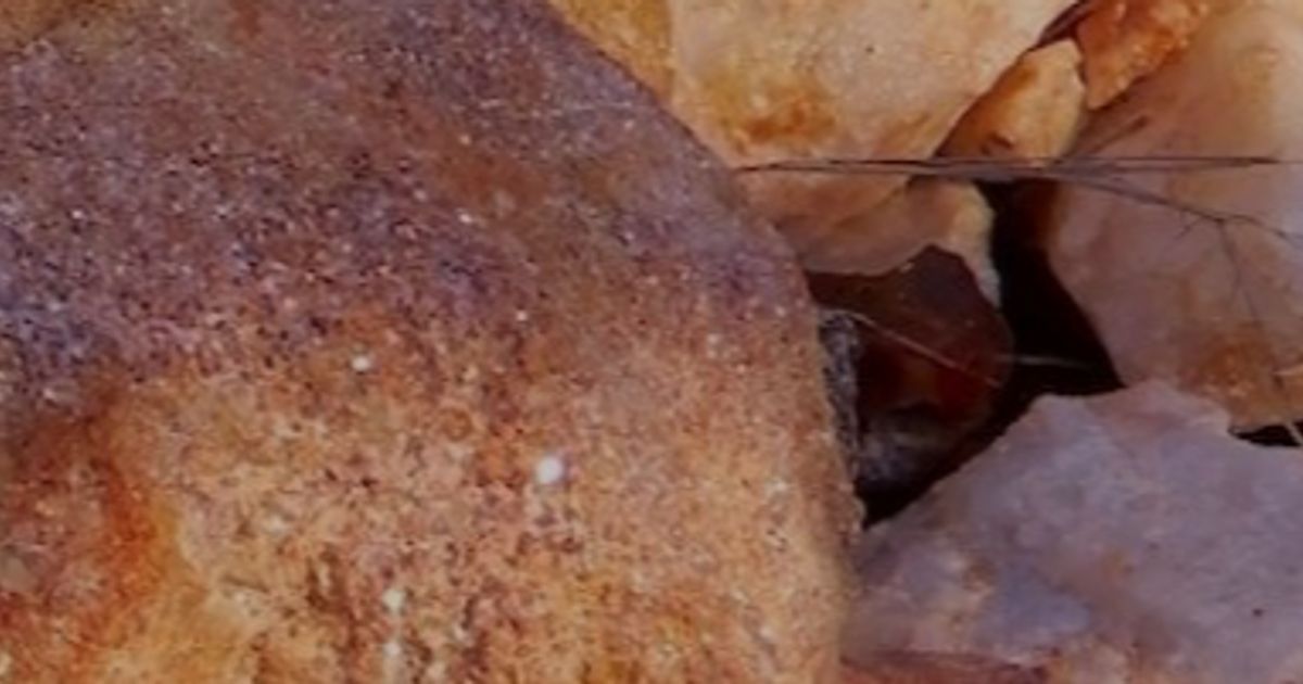 AVZ Minerals Ltd one step closer to receiving Manono mining licence - Vimarsana News