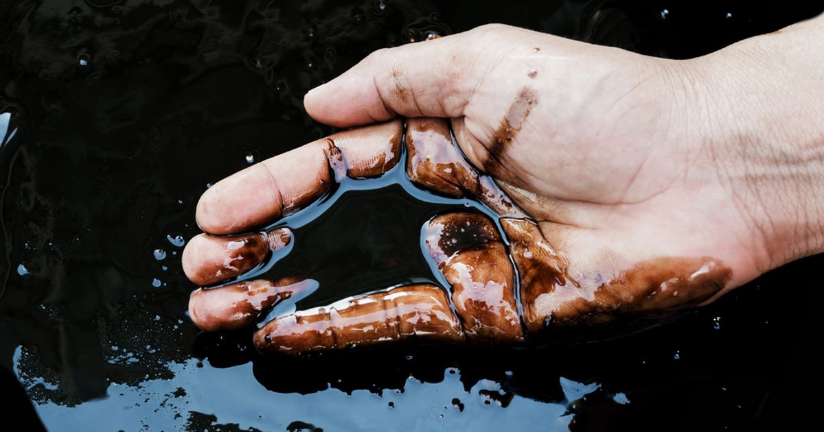 Directa Plus PLC oil contamination treatment authorised for use in the USA - Vimarsana News