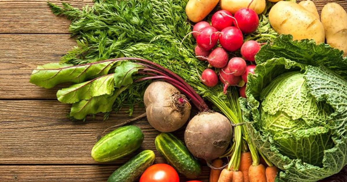 CO2 GRO Inc launches grape tomato phase of vegetable trial with The Cucumber Man - Vimarsana News