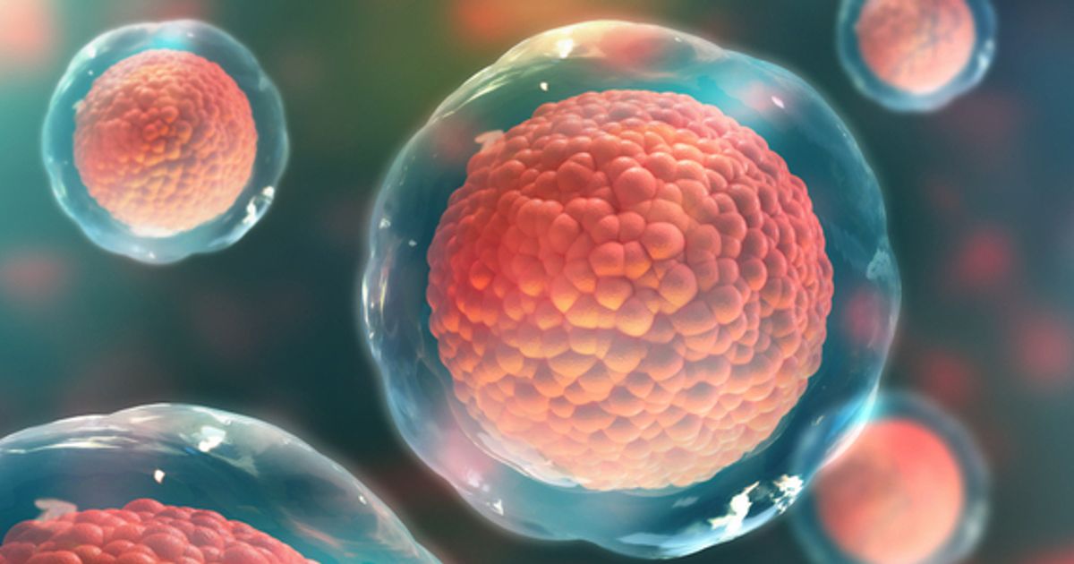Orgenesis Inc enters second phase of POCare Platform rollout; sees recurring revenues from long-term contracts for the next 2-3 years - Vimarsana News