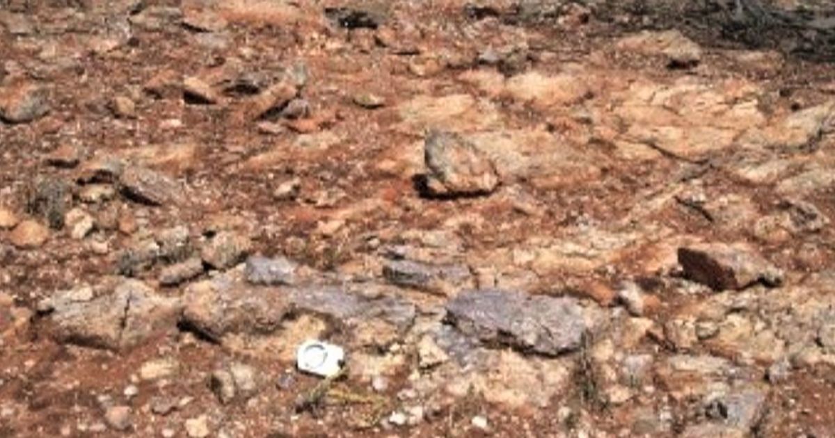Aldoro Resources Ltd readies for critical metal drilling at Wyemandoo - Vimarsana News