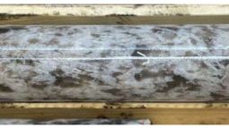 Critical Resources Ltd - Critical Resources Ltd intersects 23.1 metres of visual spodumene-bearing pegmatite at Mavis Lake