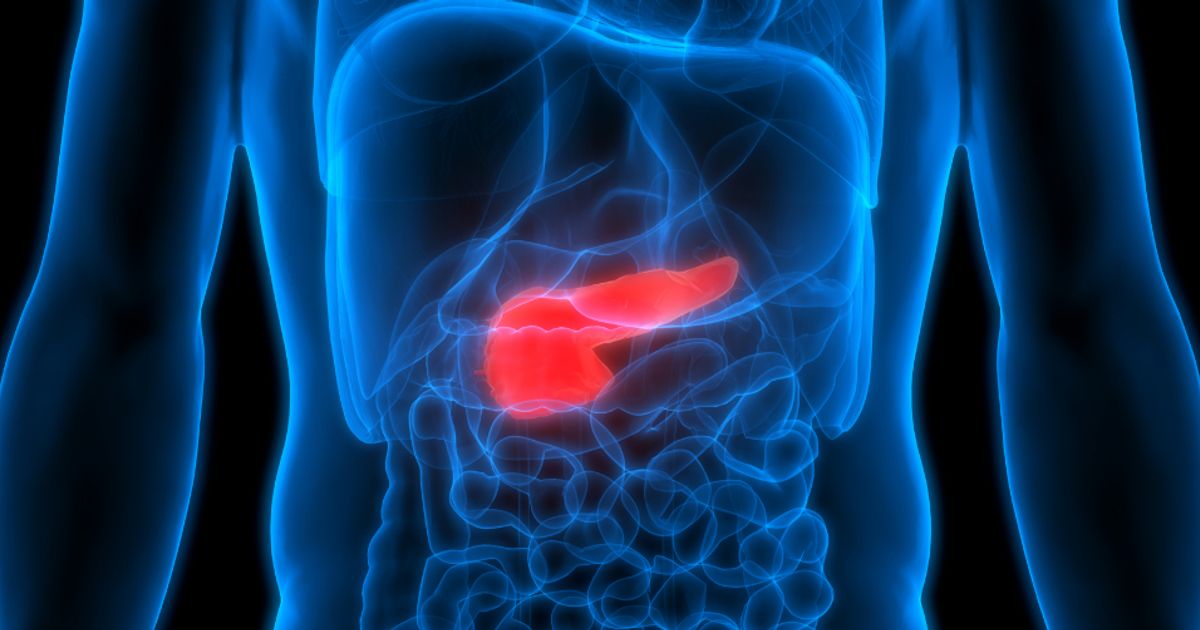 Amplia Therapeutics Ltd secures second ethics clearance for Phase 2 AMP945 pancreatic cancer trial - Vimarsana News