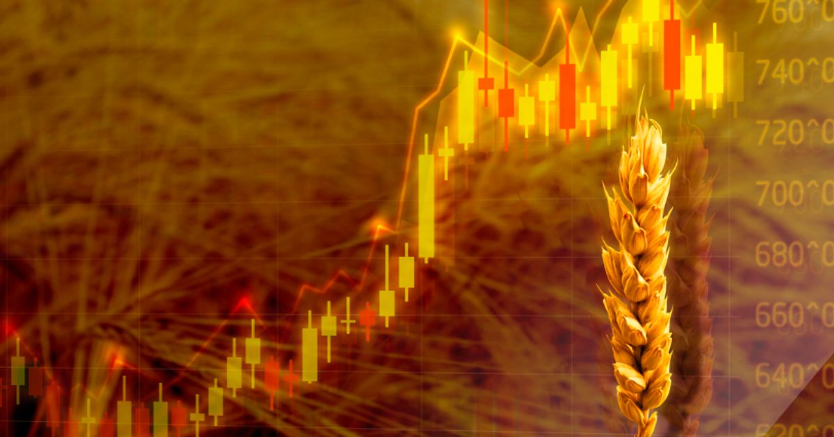 The week in review: food crisis looms, Finland and Sweden to join Nato, stablecoins lead crypto low - Vimarsana News