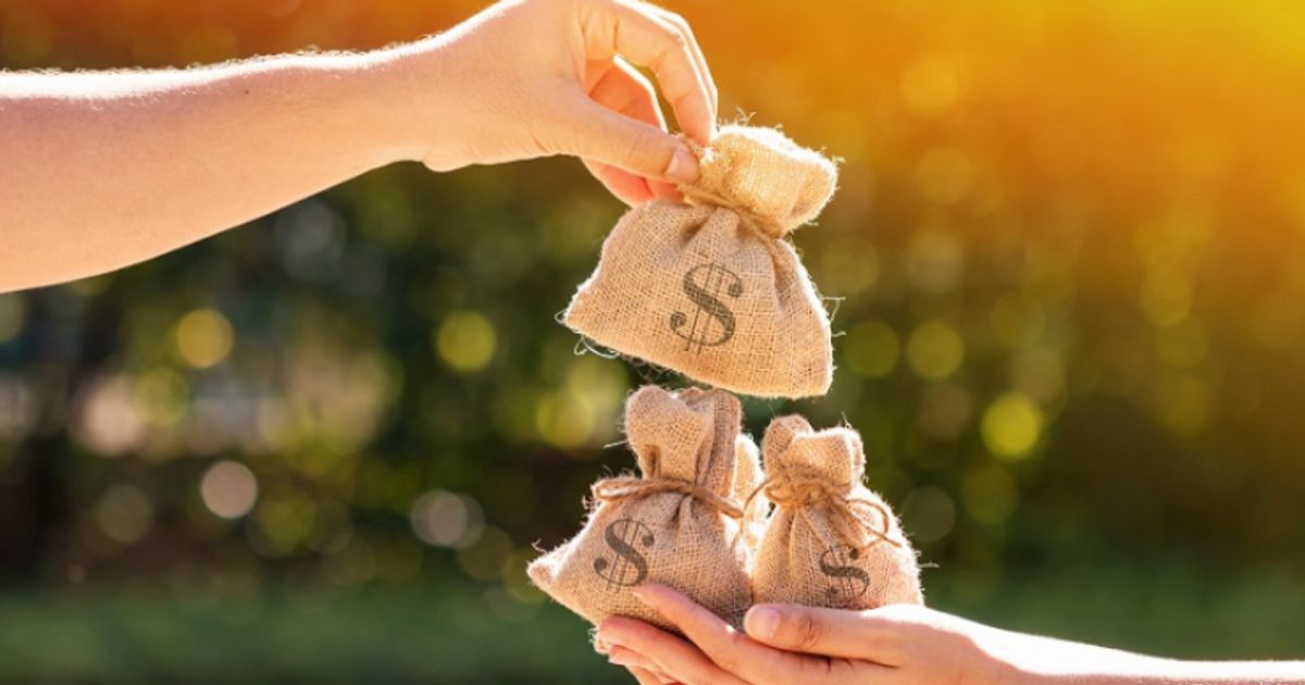Emmerson Resources Ltd nets $220,000 in additional funding with share purchase plan following $5 million placement - Vimarsana News
