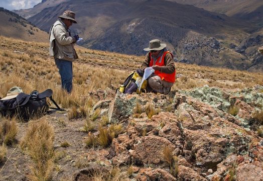 Forte Minerals project
