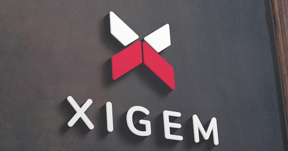 Xigem Technologies announces appointment of Anthony Cozzi as its new chief technology officer - Vimarsana News