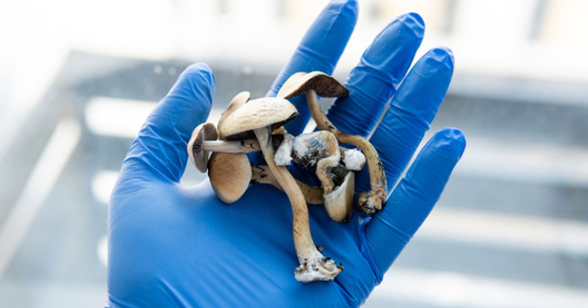 Braxia Scientific Corp reports promising preliminary results from Phase 2 of its psilocybin-assisted therapy trial for treatment-resistant depression - Vimarsana News