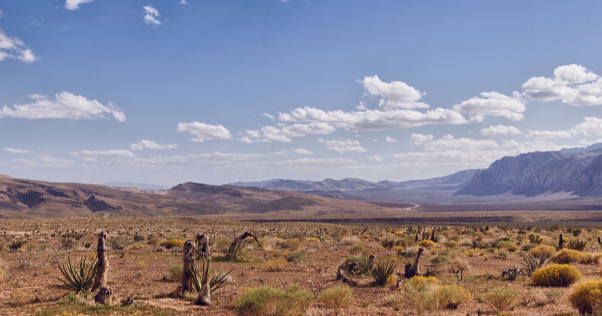 Silver Range Resources Ltd stakes two new properties in Nevada - Vimarsana News
