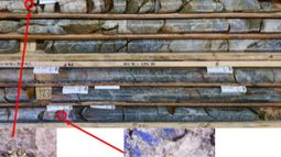 Tempus Resources Ltd - Tempus Resources observes visible gold at Elizabeth Gold Project