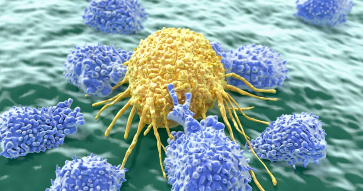 Redx Pharma PLC says data supports use of Porcupine and ROCK inhibitors as potential treatments for cancer-associated fibrosis - Vimarsana News