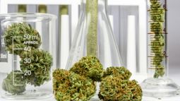 Creso Pharma Ltd - Creso Pharma&rsquo;s Canadian subsidiary secures maiden purchase order for Ritual Gold vaporiser